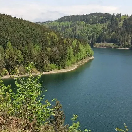 Lidwina * Steinwiesen