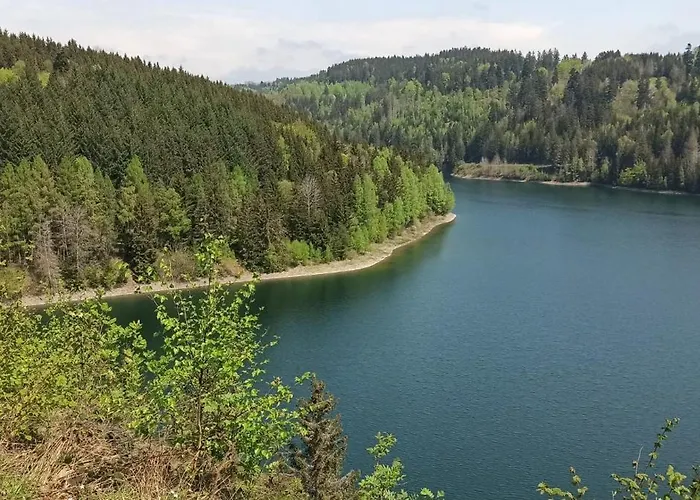 Lidwina * Steinwiesen